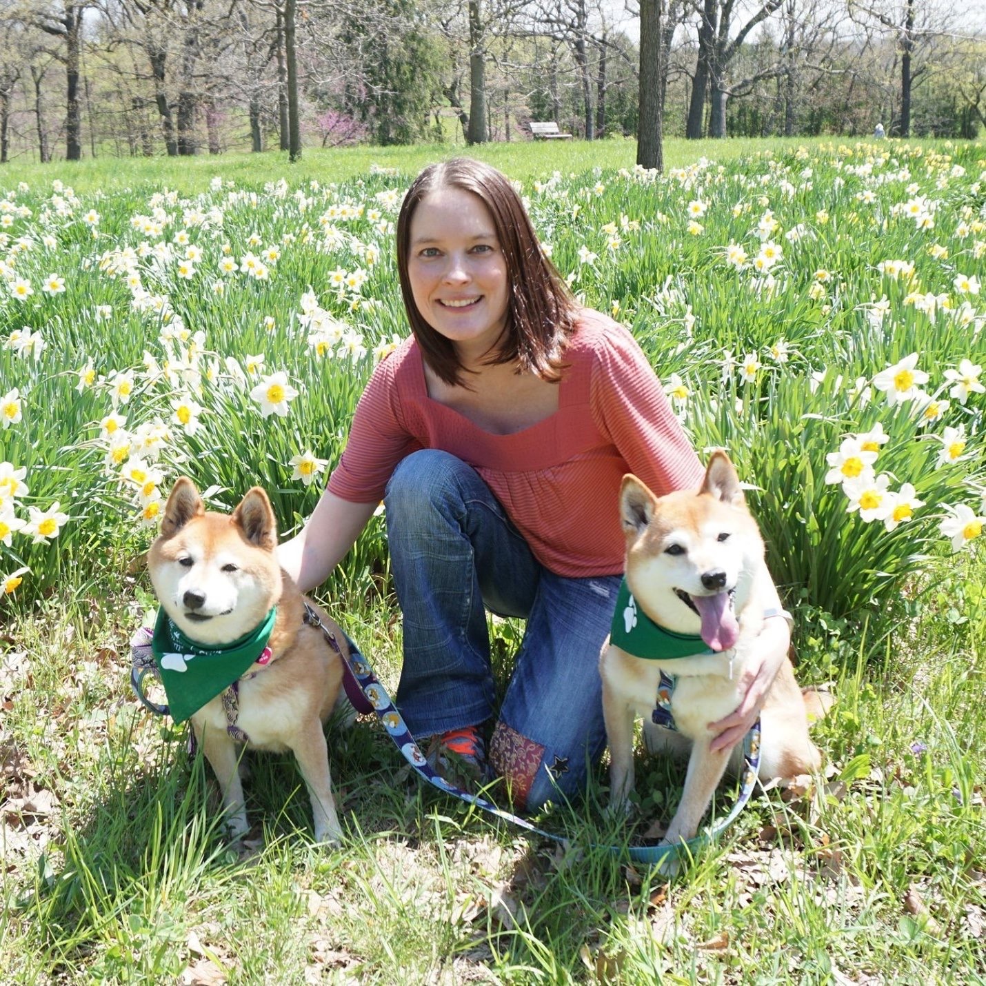 Tami Kress canine dog physical therapist rehab